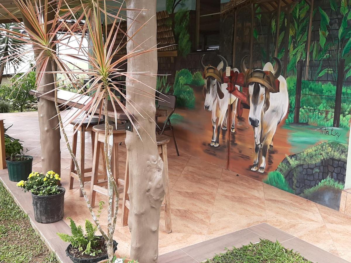 Marita'S Bed And Breakfast Nuevo Arenal Exterior foto