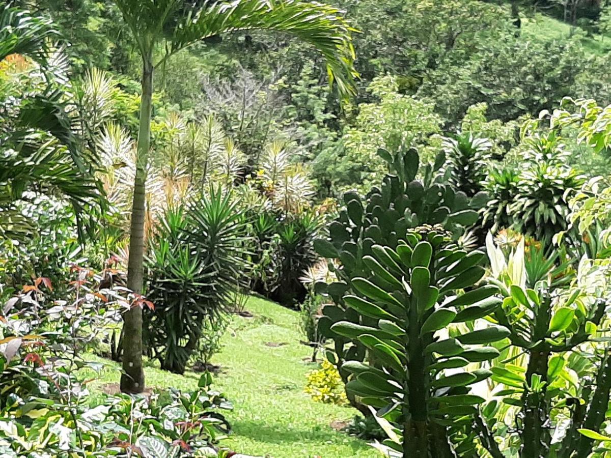 Marita'S Bed And Breakfast Nuevo Arenal Exterior foto