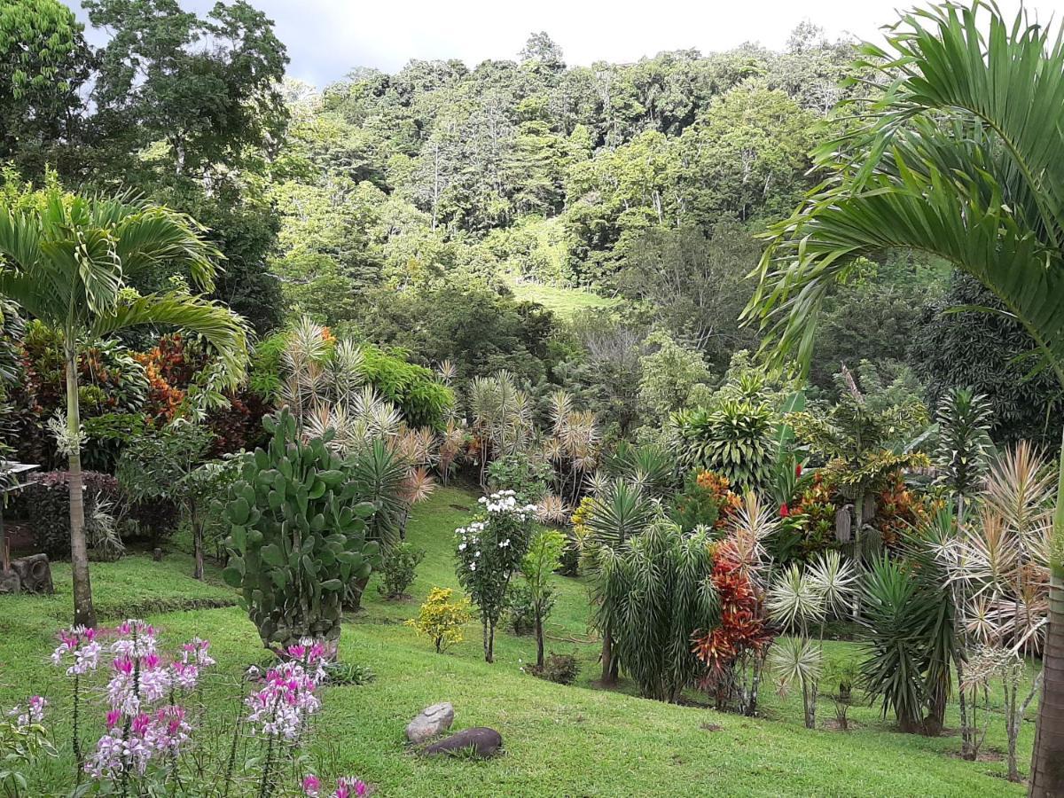Marita'S Bed And Breakfast Nuevo Arenal Exterior foto