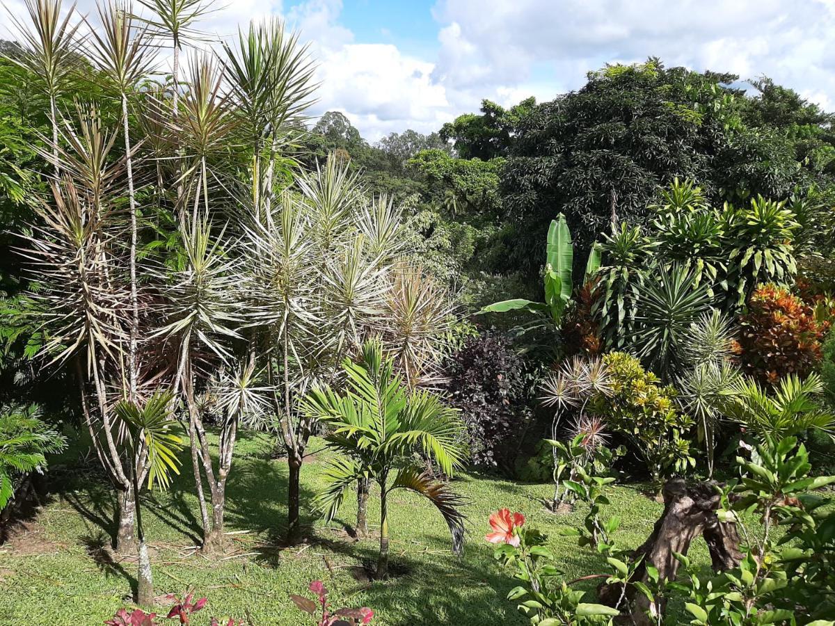 Marita'S Bed And Breakfast Nuevo Arenal Exterior foto